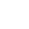 icons experience 
